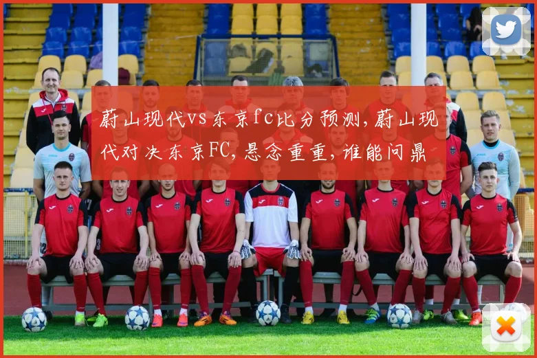 蔚山现代vs东京fc比分预测,蔚山现代对决东京FC,悬念重重,谁能问鼎