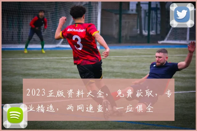 2023正版资料大全，免费获取，专业精选，两网速查，一应俱全