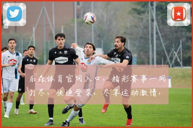 东森体育官网入口，精彩赛事一网打尽，快速登录，尽享运动激情，不容错过